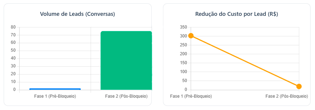 Tráfego Pago para Quem quer Leads, Não Curtidas 1 imagem real nexfera, resultado de empresa
